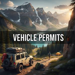 Giấy phép phương tiện (Vehicle Permits) là gì?