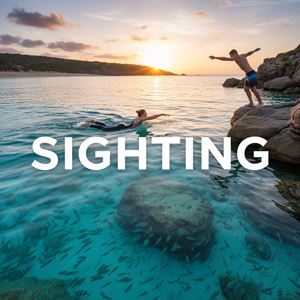 Quan sát hướng khi bơi (Sighting) là gì?