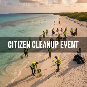 Sự kiện dọn rác cộng đồng (Citizen Cleanup Event) là gì?