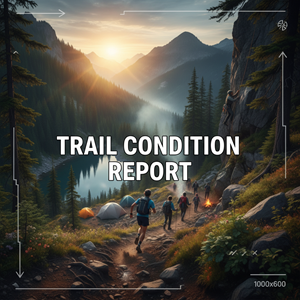 Báo cáo tình trạng đường mòn là gì?