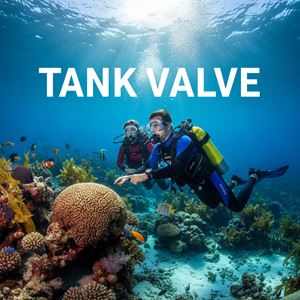 Van bình khí (Tank Valve) là gì?