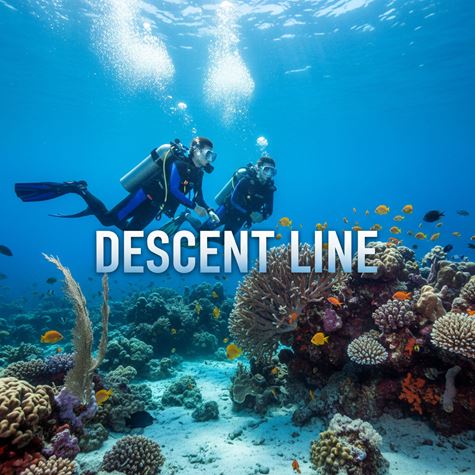 Dây xuống (Descent Line) là gì?