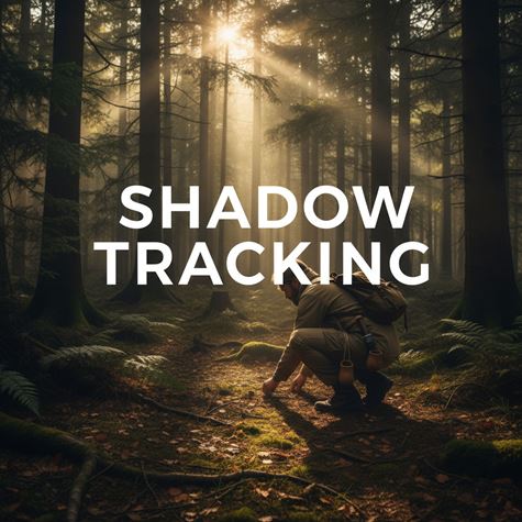 Lần dấu bằng bóng (Shadow Tracking) là gì?