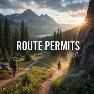 Giấy phép tuyến đường là gì?