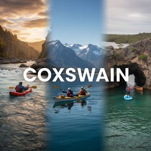 Trợ lái (cox) (Coxswain) là gì?