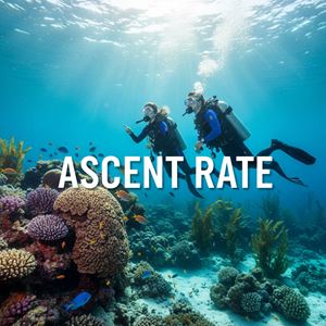 Tốc độ lên (Ascent Rate) là gì?