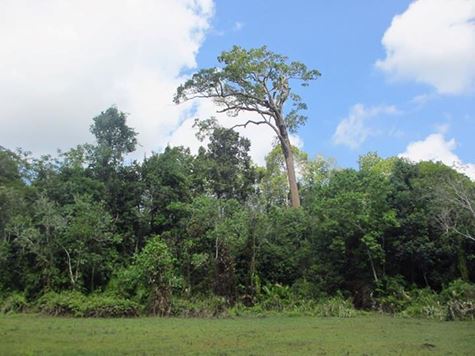  HỒI KÝ SIEM-PENH VỪA ĐI VỪA CHẠY - Part 9 LẠC ĐƯỜNG TRÊN NÚI PHNOM KULEN- LẠI LỠ KBAL SPEAN