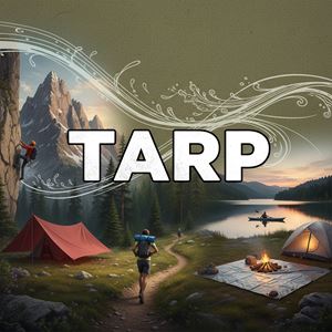 Tấm bạt là gì?