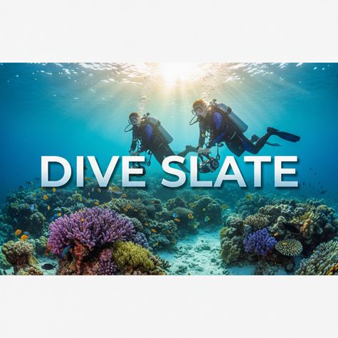 Bảng ghi chú dưới nước (Dive Slate) là gì?