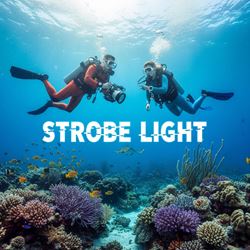 Đèn chớp (Strobe Light) là gì?