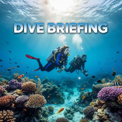 Họp triển khai lặn (Dive Briefing) là gì?