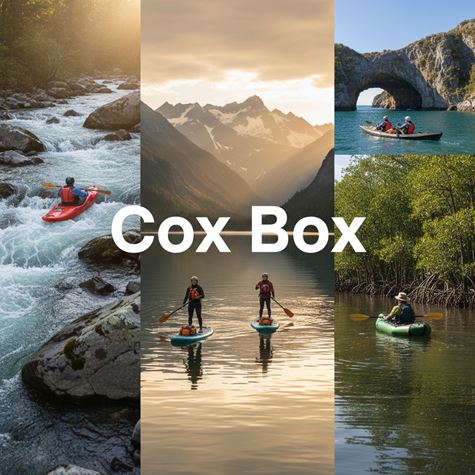 Thiết bị đo nhịp & liên lạc (Cox Box) là gì?