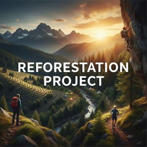 Dự án trồng rừng là gì?