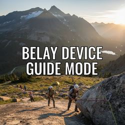 Chế độ dẫn của thiết bị bảo hiểm là gì?