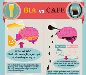 [Infographic] So sánh lợi ích của bia và cà phê với não bộ