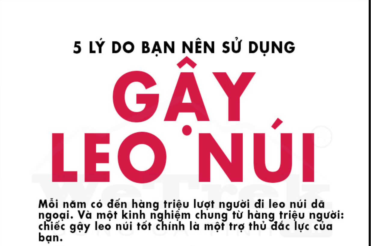 [Infographic] 5 lý do bạn nên sử dụng gậy leo núi
