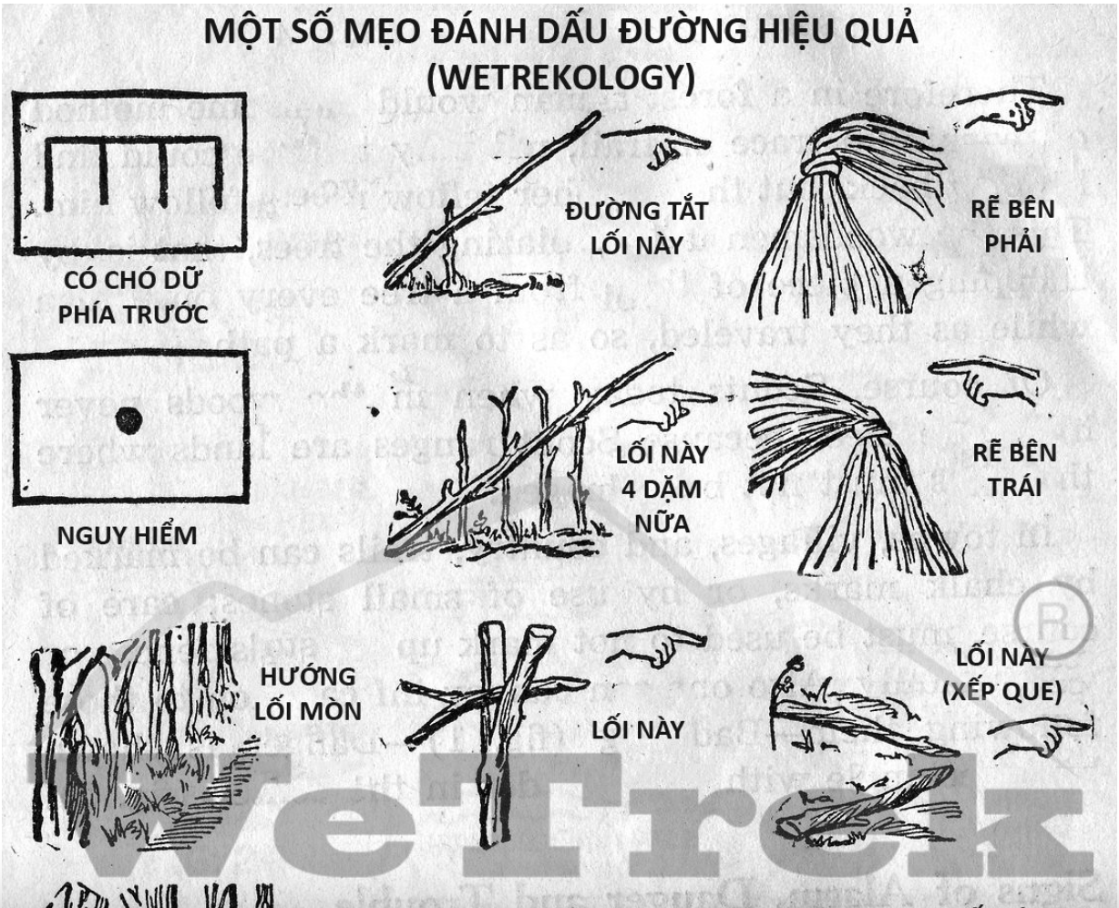 [Infographic] Một số mẹo đánh dấu đường hiệu quả