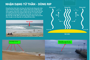[Infographic] Dòng Rip - Tử thần bãi biển!