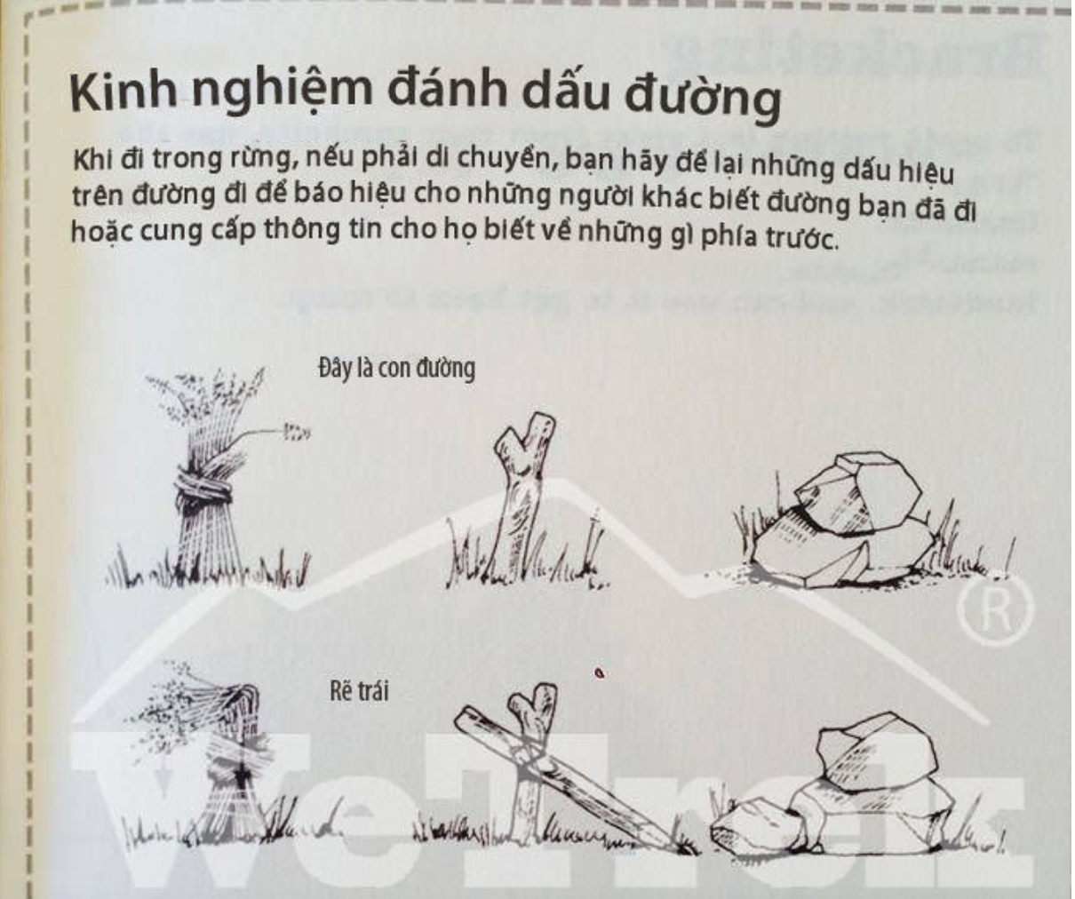 [Infographic] Một số kỹ năng đánh dấu đường khi đi rừng