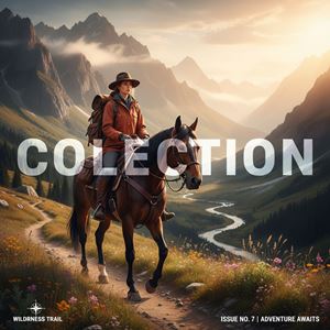 Thu ngựa (Collection) là gì?