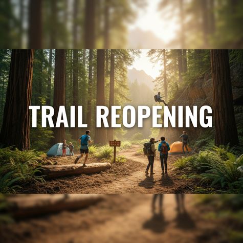 Mở lại đường mòn là gì?