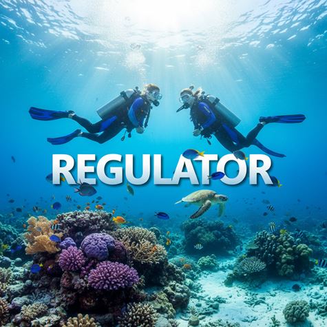 Bộ điều áp (Regulator) là gì?