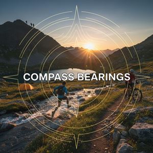 Đo hướng bằng la bàn (Compass Bearings) là gì?