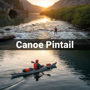 Mũi đuôi nhọn (pintail) (Canoe Pintail) là gì?