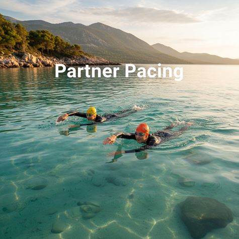 Giữ tốc độ với đồng đội (Partner Pacing) là gì?