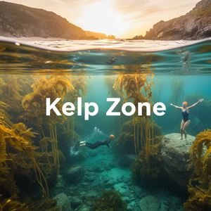 Vùng rong biển (Kelp Zone) là gì?