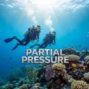 Áp suất riêng phần (Partial Pressure) là gì?