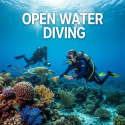 Lặn biển cơ bản (Open Water Diving) là gì?