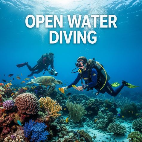 Lặn biển cơ bản (Open Water Diving) là gì?