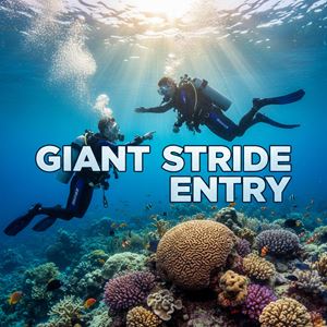 Nhảy bước lớn (Giant Stride Entry) là gì?