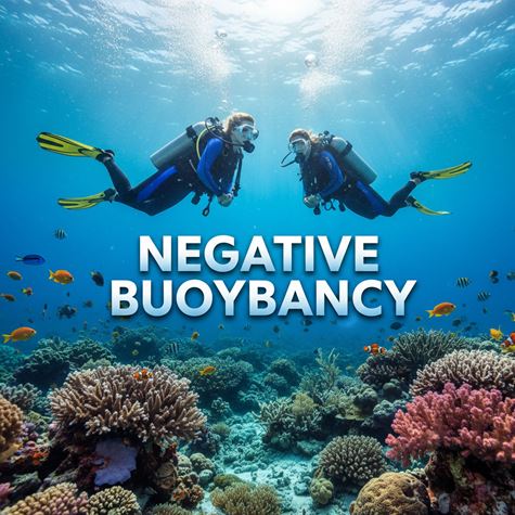 Nổi âm (Negative Buoyancy) là gì?