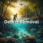 Dọn rác tự nhiên (Debris Removal) là gì?