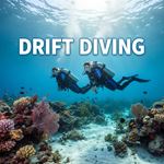 Lặn theo dòng chảy (Drift Diving) là gì?