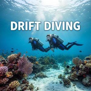 Lặn theo dòng chảy (Drift Diving) là gì?