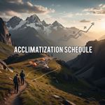 Lịch trình thích nghi là gì?