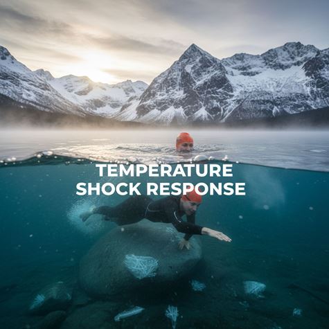 Phản ứng sốc lạnh (Temperature Shock Response) là gì?