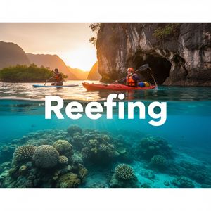 Rút bớt buồm (Reefing) là gì?