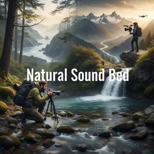 Lớp âm tự nhiên nền (Natural Sound Bed) là gì?