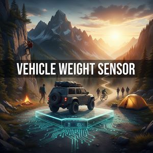 Cảm biến trọng lượng xe (Vehicle Weight Sensor) là gì?
