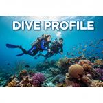 Hồ sơ lặn (Dive Profile) là gì?