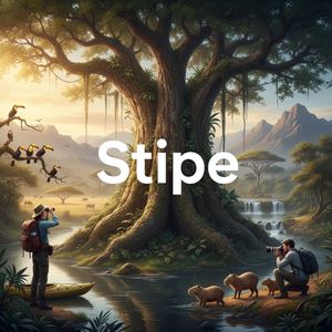 Cuống nấm (Stipe) là gì?