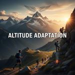 Thích nghi độ cao là gì?