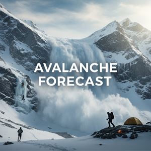 Dự báo tuyết lở là gì?
