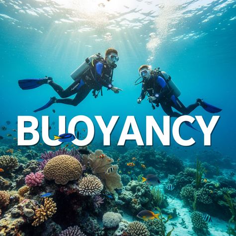 Độ nổi (Buoyancy) là gì?