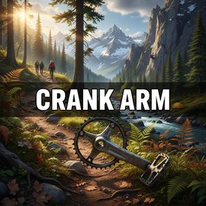 Tay đòn bàn đạp là gì?