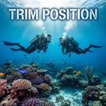 Tư thế thăng bằng (Trim Position) là gì?